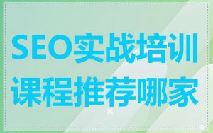 SEO实战培训课程推荐哪家