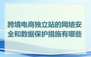 跨境电商独立站的网络安全和数据保护措施有哪些