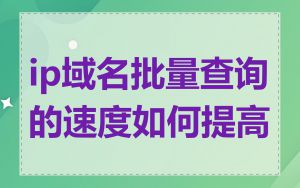 ip域名批量查询的速度如何提高