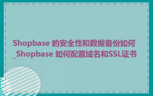 Shopbase 的安全性和数据备份如何_Shopbase 如何配置域名和SSL证书