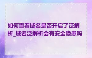 如何查看域名是否开启了泛解析_域名泛解析会有安全隐患吗