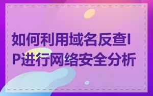 如何利用域名反查IP进行网络安全分析