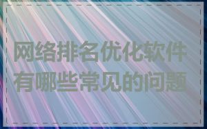 网络排名优化软件有哪些常见的问题