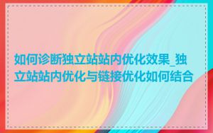 如何诊断独立站站内优化效果_独立站站内优化与链接优化如何结合