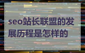 seo站长联盟的发展历程是怎样的