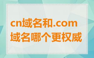cn域名和.com域名哪个更权威