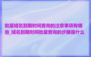 批量域名到期时间查询的注意事项有哪些_域名到期时间批量查询的步骤是什么