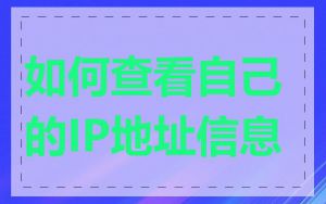 如何查看自己的IP地址信息