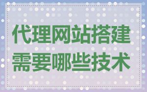 代理网站搭建需要哪些技术