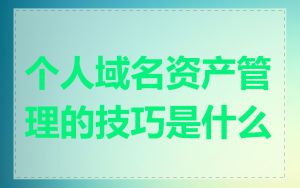 个人域名资产管理的技巧是什么