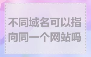 不同域名可以指向同一个网站吗