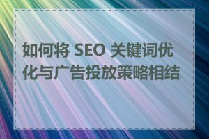 如何将 SEO 关键词优化与广告投放策略相结合