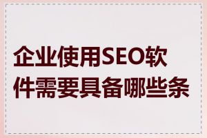 企业使用SEO软件需要具备哪些条件