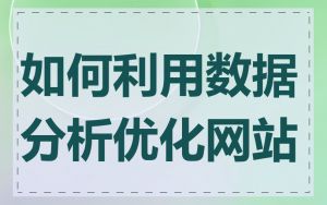 如何利用数据分析优化网站