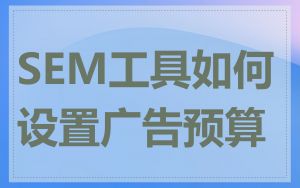 SEM工具如何设置广告预算