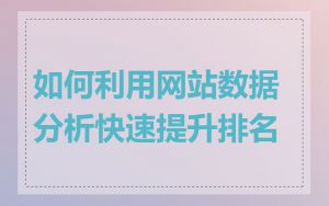 如何利用网站数据分析快速提升排名