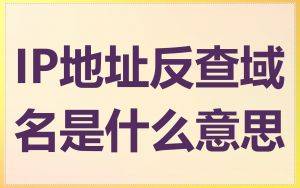 IP地址反查域名是什么意思
