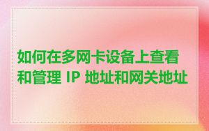 如何在多网卡设备上查看和管理 IP 地址和网关地址