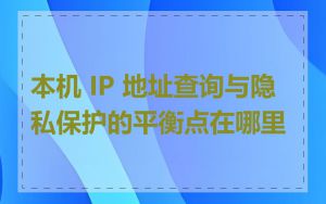 本机 IP 地址查询与隐私保护的平衡点在哪里