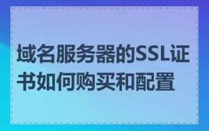 域名服务器的SSL证书如何购买和配置