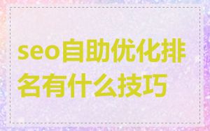 seo自助优化排名有什么技巧