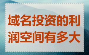 域名投资的利润空间有多大