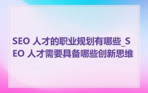 SEO 人才的职业规划有哪些_SEO 人才需要具备哪些创新思维