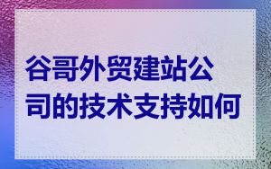 谷哥外贸建站公司的技术支持如何