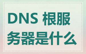 DNS 根服务器是什么