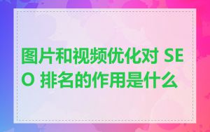 图片和视频优化对 SEO 排名的作用是什么
