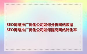 SEO网络推广优化公司如何分析网站数据_SEO网络推广优化公司如何提高网站转化率