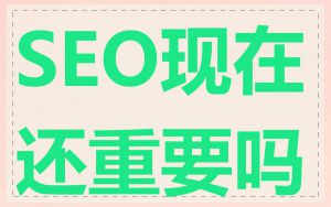 SEO现在还重要吗