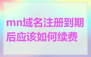 mn域名注册到期后应该如何续费