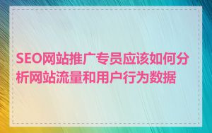 SEO网站推广专员应该如何分析网站流量和用户行为数据