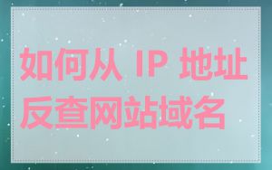 如何从 IP 地址反查网站域名