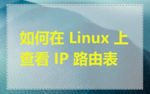 如何在 Linux 上查看 IP 路由表