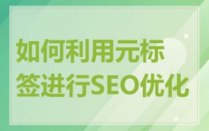 如何利用元标签进行SEO优化