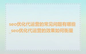 seo优化代运营的常见问题有哪些_seo优化代运营的效果如何衡量