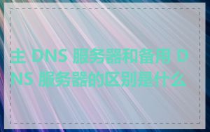 主 DNS 服务器和备用 DNS 服务器的区别是什么
