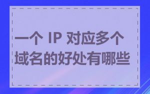 一个 IP 对应多个域名的好处有哪些