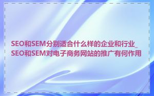 SEO和SEM分别适合什么样的企业和行业_SEO和SEM对电子商务网站的推广有何作用
