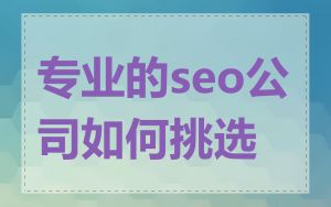 专业的seo公司如何挑选