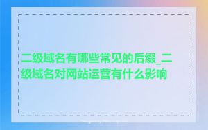 二级域名有哪些常见的后缀_二级域名对网站运营有什么影响