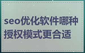 seo优化软件哪种授权模式更合适