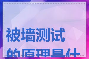 被墙测试的原理是什么