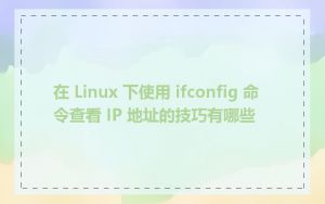 在 Linux 下使用 ifconfig 命令查看 IP 地址的技巧有哪些