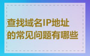查找域名IP地址的常见问题有哪些