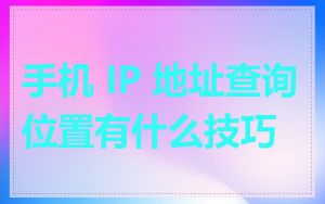 手机 IP 地址查询位置有什么技巧