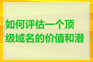 如何评估一个顶级域名的价值和潜力
