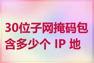 30位子网掩码包含多少个 IP 地址